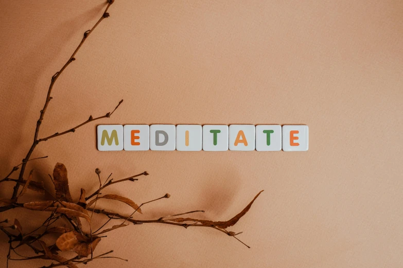 a plant that is next to a sign that says meditate, by Caro Niederer, trending on pexels, wearing brown robes, sitting pose, mandala, profile image