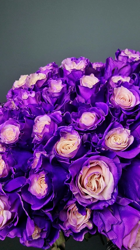 a vase filled with purple flowers on top of a table, huge rose flower head, vibrant colour, award - winning, close look