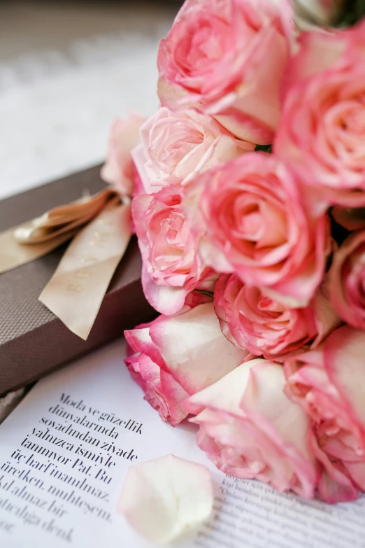 a bouquet of pink roses sitting on top of a book, by Leila Faithfull, hidden message, presents, middle close up, julia sarda