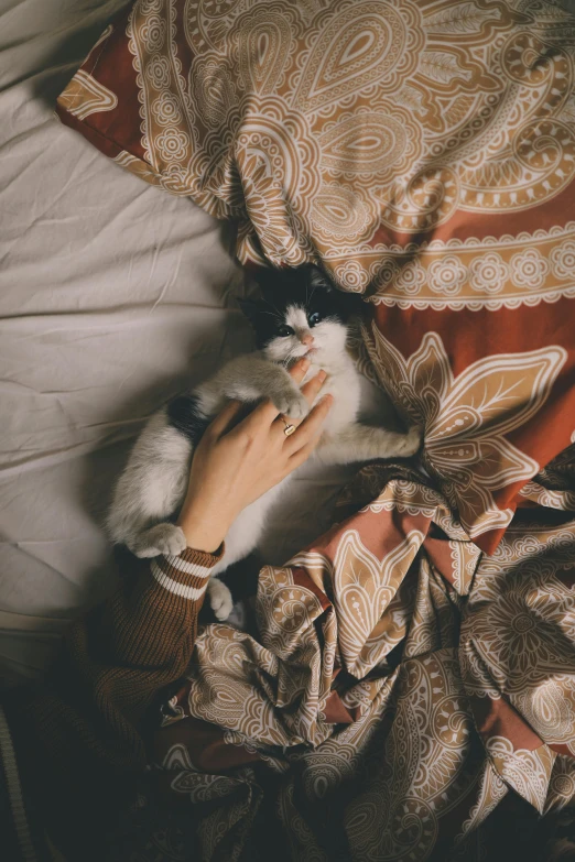 a person laying in bed with a cat, a picture, inspired by Elsa Bleda, trending on pexels, renaissance, wrapped arms, trippy, high angle, gif