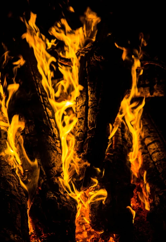 a close up of a fire in the dark, an album cover, pexels, multiple stories, bonfire, tall, print ready