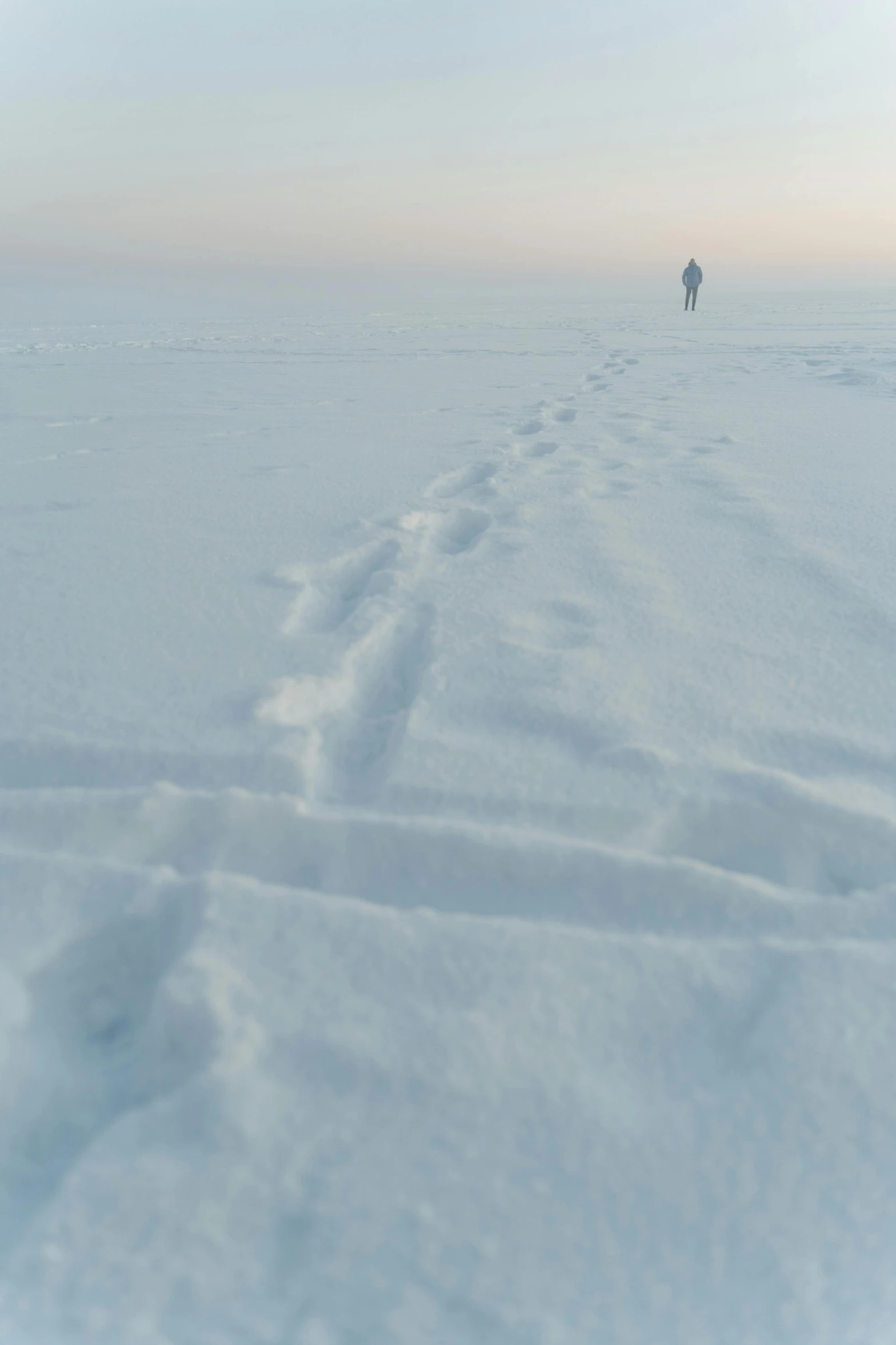 a person walking across a snow covered field, inspired by Einar Hakonarson, land art, inuit heritage, teaser, rectangle, white