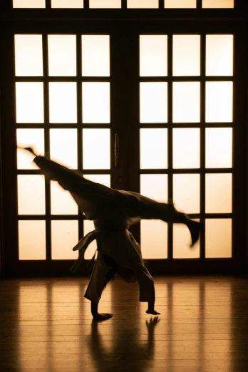 a person doing a handstand in front of a window, a picture, inspired by Kanō Shōsenin, aikido, ( ( theatrical ) ), golden light, in doors