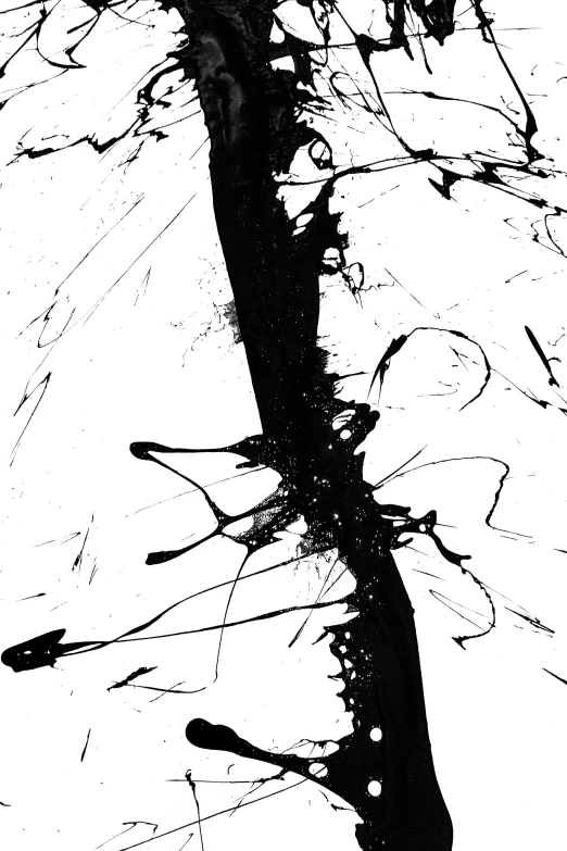 a black and white photo of a tree, an abstract drawing, inspired by Pollock, reddit, lacquer on canvas, superfine ink detail, (abstract), dave mckean ink drips