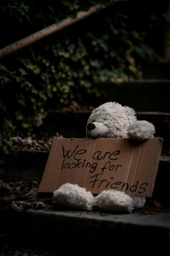 a teddy bear holding a sign that says we are looking for friends, by Niko Henrichon, trending on reddit, photo of poor condition, dark. no text, promo image, cardboard