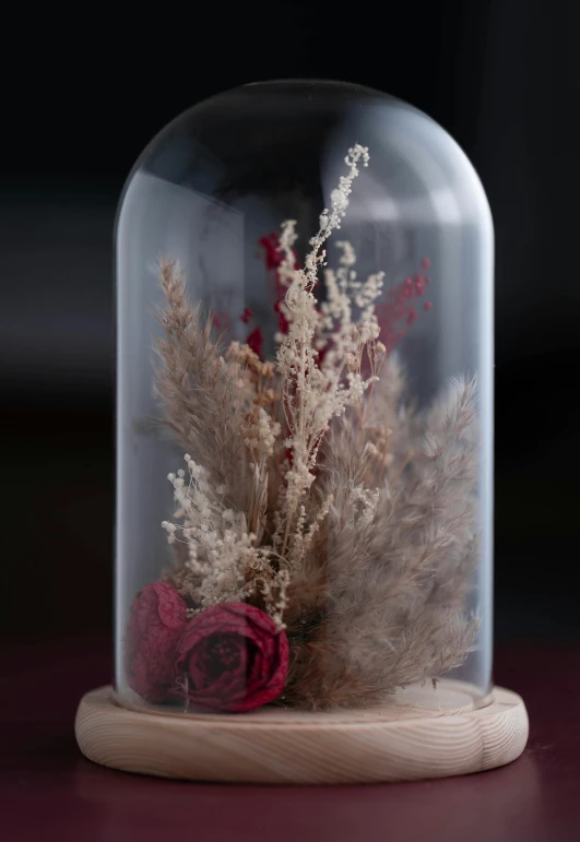 a glass cloche with dried flowers inside of it, a portrait, by Valentine Hugo, trending on unsplash, gradient brown to red, ( ultra realistic, roses and lush fern flowers, graceful curves