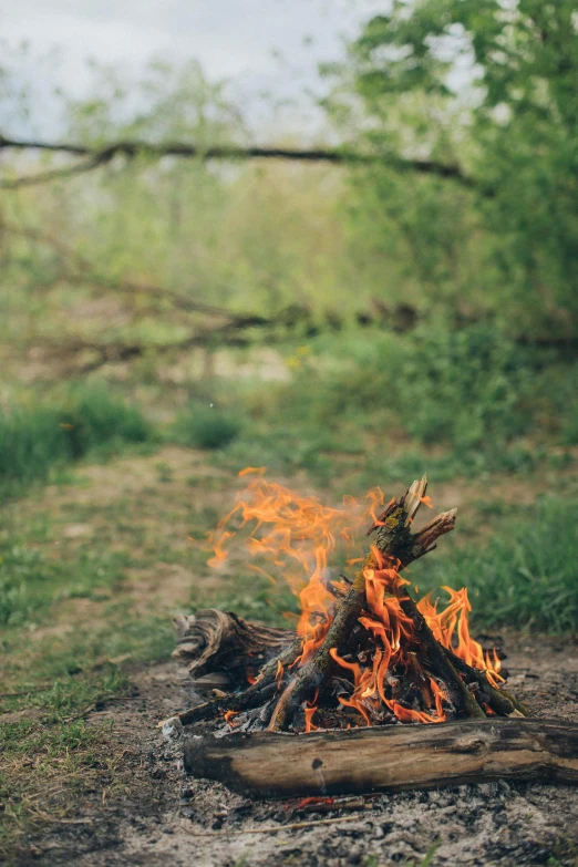 a campfire in the middle of a field, unsplash, land art, flame shrubs, profile image, a close up shot, multiple stories