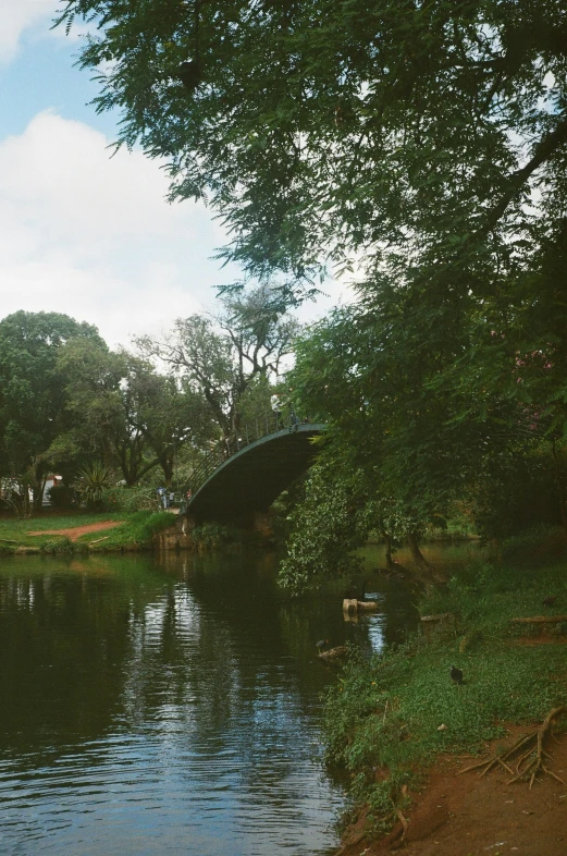 a body of water with a bridge over it, hurufiyya, in a park, fujifilm superia, bangalore, panorama shot