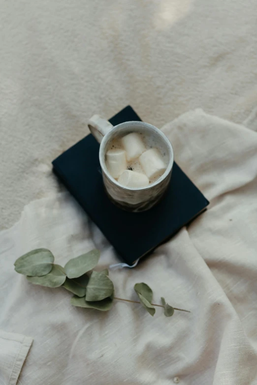 a cup of coffee sitting on top of a book, a still life, by Grace Polit, unsplash, romanticism, milk cubes, eucalyptus, square, black canvas