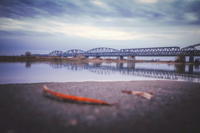 a close up of a body of water with a bridge in the background, by Adam Marczyński, unsplash contest winner, close river bank, afar, ground - level medium shot, instagram picture