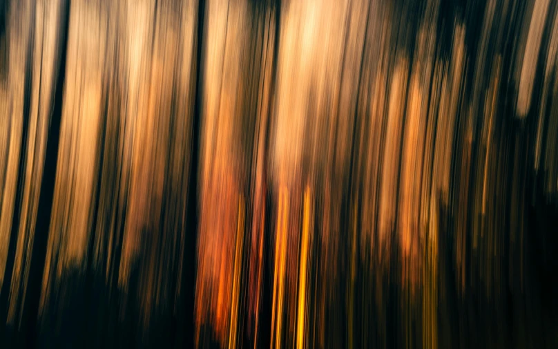 a blurry photo of a forest at sunset, an abstract painting, by Jan Rustem, unsplash contest winner, vertical lines, golden dappled dynamic lighting, (fire), dramatic lighting - n 9