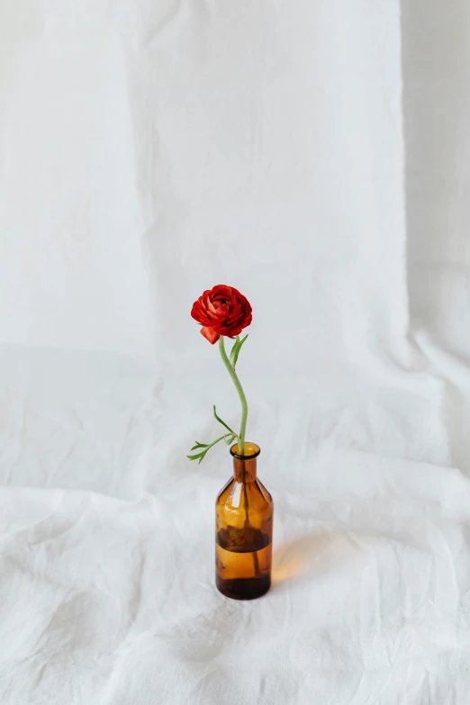 a single red flower in a brown bottle, by Anna Boch, unsplash, made of silk paper, white backdrop, small, centerpiece