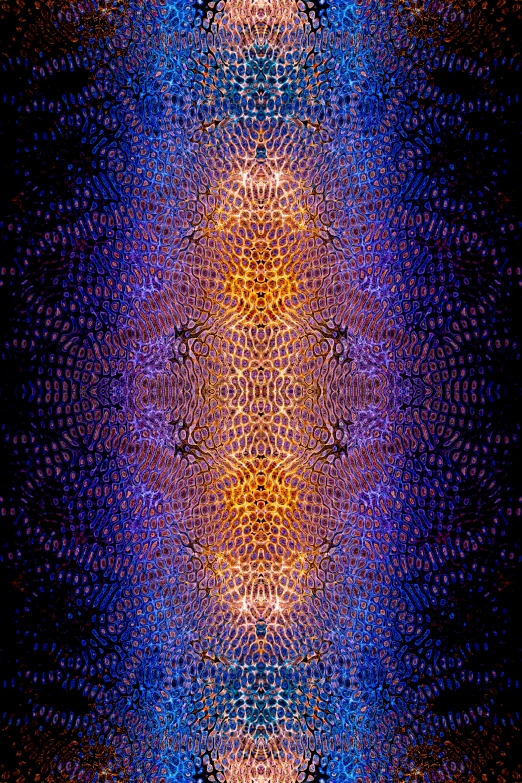 an image of a psychedelic pattern, an album cover, by Daniel Chodowiecki, violet spiders, particle reflections, blue and orange lighting, intricate hyperdetail macrophoto