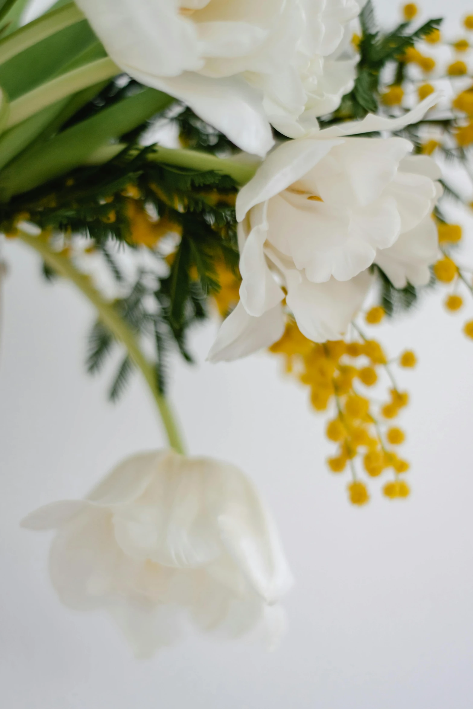 a vase filled with white flowers on top of a table, yellow details, close - up photograph, full product shot, hanging