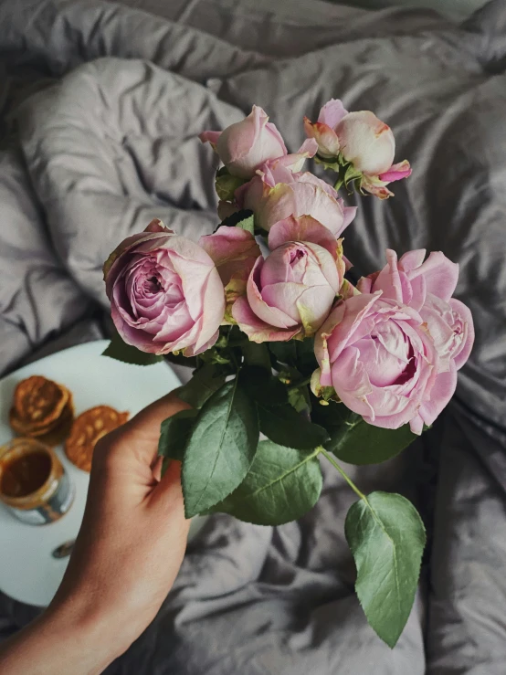 a person holding a bouquet of flowers on a bed, a still life, by Lucia Peka, trending on unsplash, breakfast, her face is a mauve flower, grey, photo of a rose