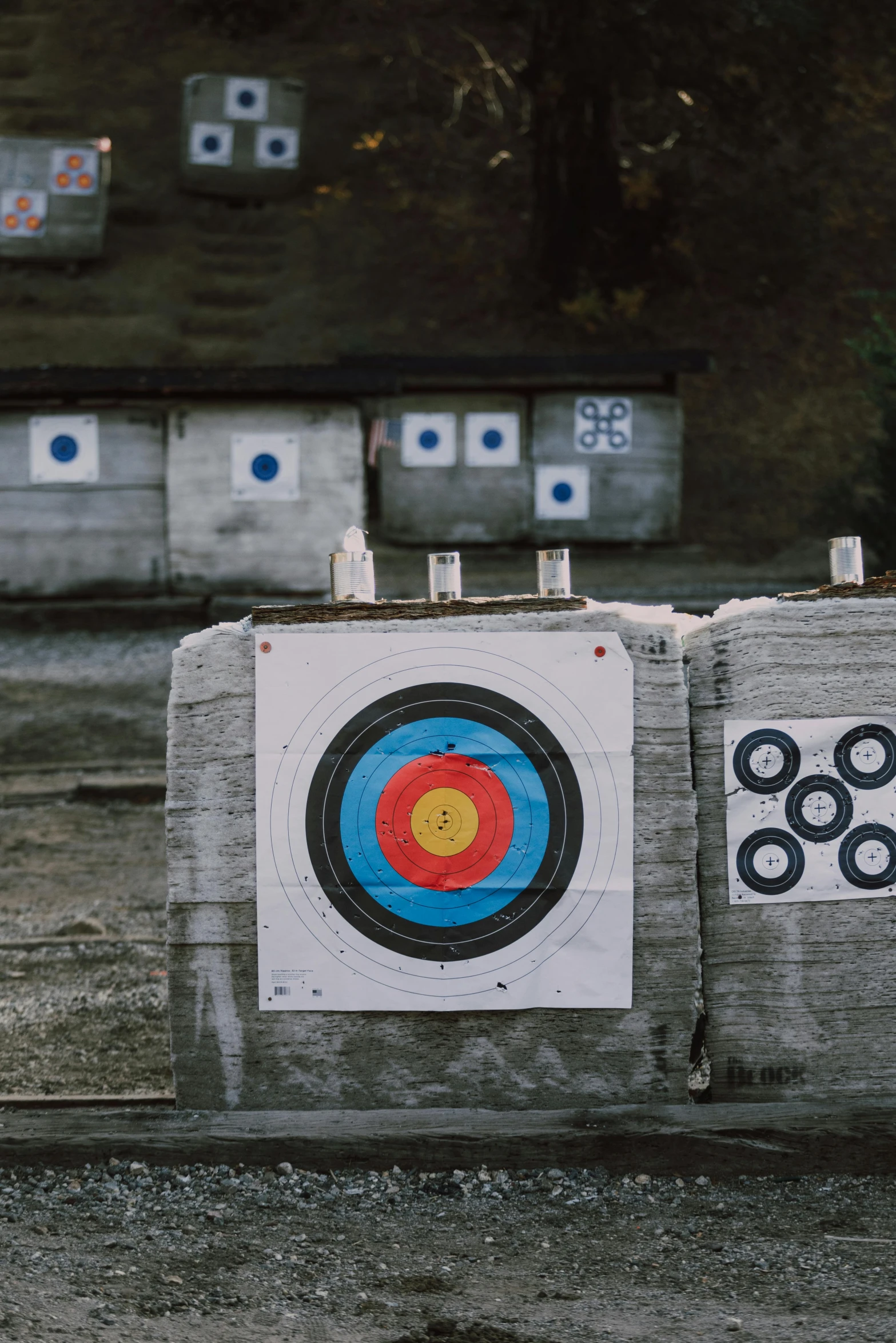 a red fire hydrant sitting next to a bunch of targets, a picture, pexels contest winner, archery, charts, panoramic shot, a wooden