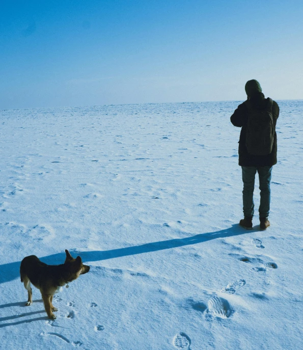 a man standing on top of a snow covered field next to a dog, inspired by Scarlett Hooft Graafland, pexels contest winner, high shadow, looking towards the horizon, blue, arctic