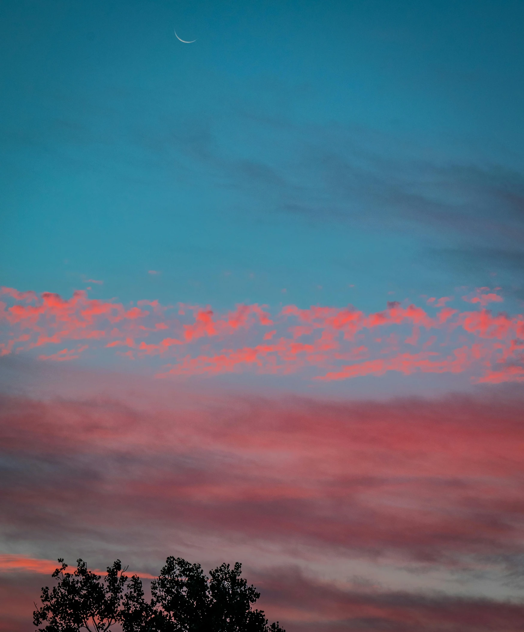 a pink and blue sky with a crescent in the distance, by Carey Morris, unsplash contest winner, aestheticism, red clouds, layered stratocumulus clouds, pink trees, today\'s featured photograph 4k