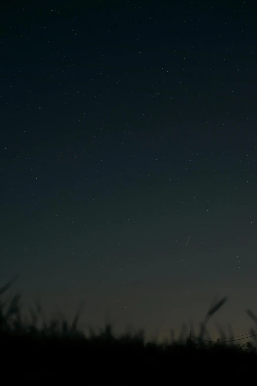 a man standing on top of a lush green field under a night sky, a picture, moody dim faint lighting, zoomed in, sirius a and sirius b, seen from a distance