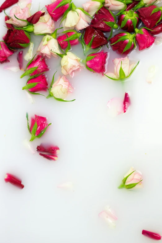 a bath tub filled with lots of pink and white roses, inspired by Mihály Munkácsy, trending on unsplash, romanticism, puddle of milk, tiny crimson petals falling, minimalist, ultrafine detail ”