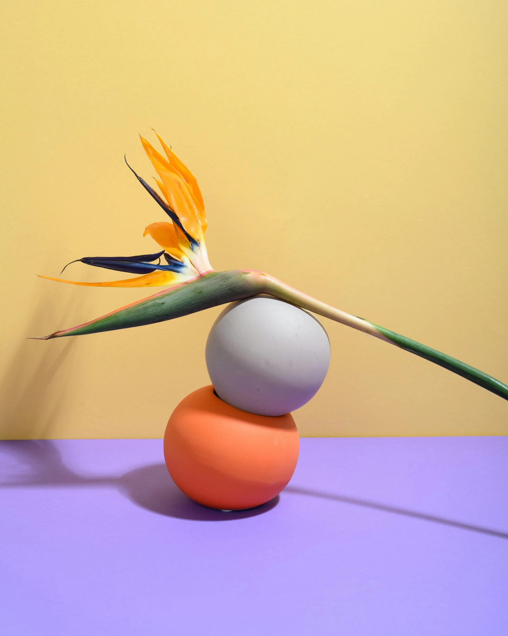 a bird of paradise flower sitting on top of an orange and white ball, inspired by Robert Mapplethorpe, new sculpture, colourful pastel, ikebana, trending on dezeen, modelling clay