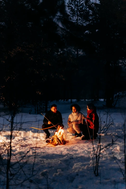 a group of people sitting around a fire in the snow, paul barson, romantic mood, forest picnic, photograph