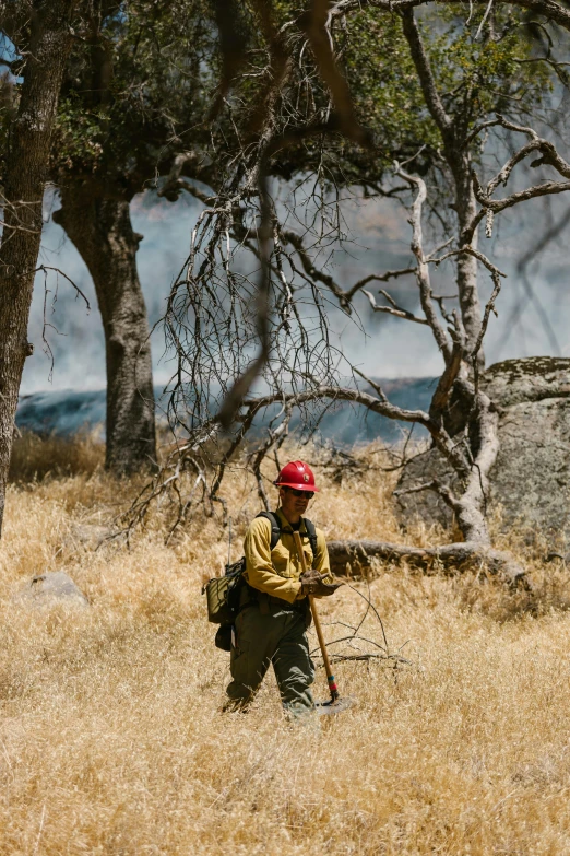 a man that is standing in the grass, fire lines, portrait of a female ranger, walking through the trees, sweeping vista