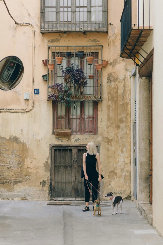 a woman walking her dog down a narrow street, inspired by Modest Urgell, pexels contest winner, renaissance, leaning on door, a blond, costa blanca, black and terracotta