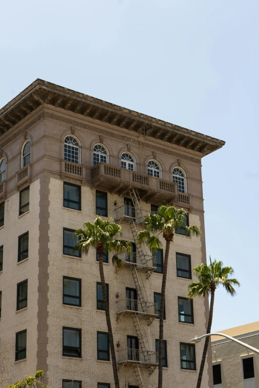 a tall building with palm trees in front of it, renaissance, old hollywood, shot from roofline, square, neoclassical