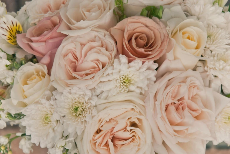 a close up of a bouquet of flowers, pearlescent hues, light blush, bottom body close up, comforting