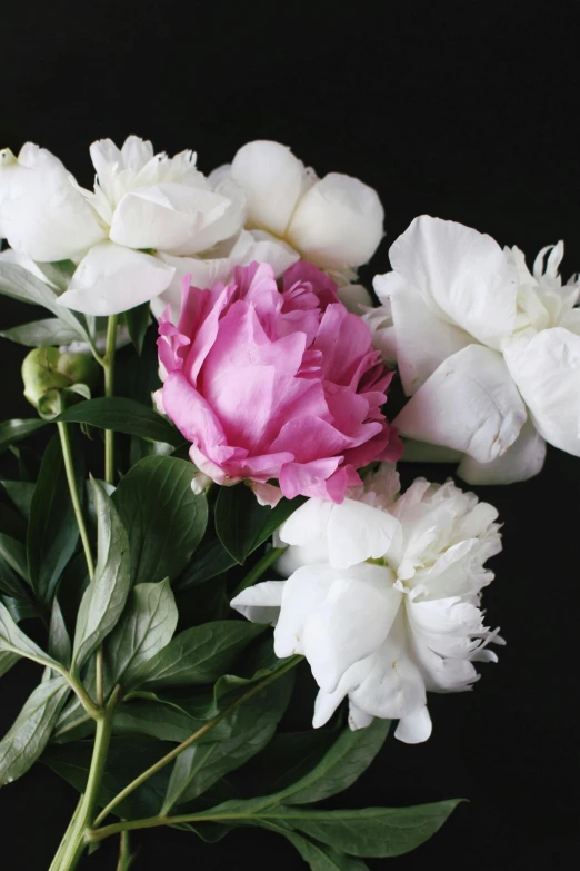 a bunch of white and pink flowers in a vase, unsplash, white on black, peony, medium close shot, comforting