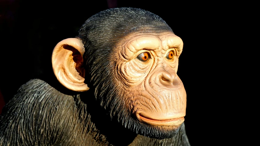 a close up of a statue of a monkey, by Matt Stewart, pexels, photorealism, animatronic, chimpanzee, 2000s photo