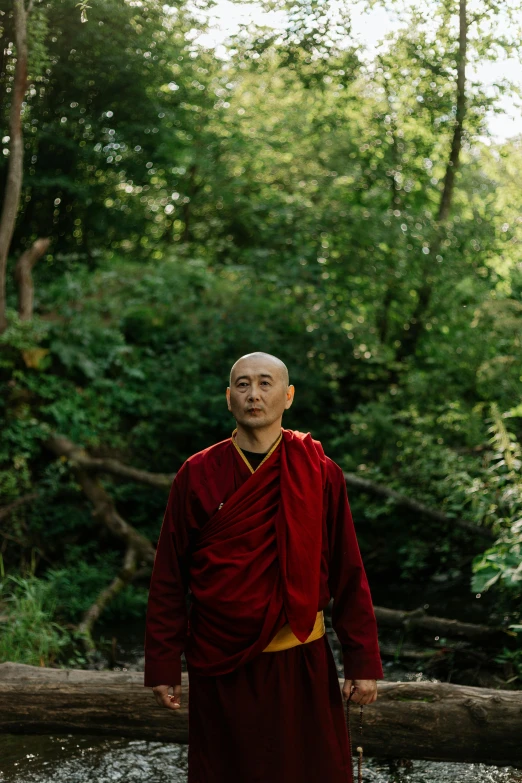 a man standing on a log in a forest, a portrait, inspired by Li Di, unsplash, shin hanga, buddhist monk meditating, wearing gilded red robes, looking towards camera, portrait image