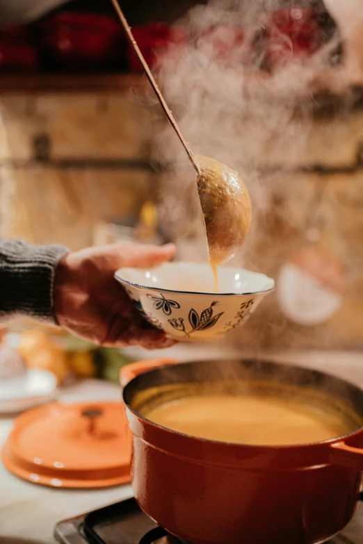 a person stirring something into a pot on a stove, autumnal, good soup, honey dripping from ceiling, french