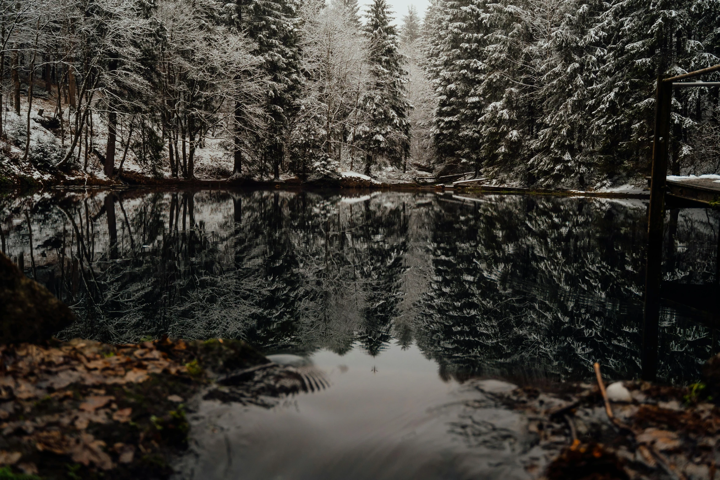 a body of water surrounded by trees covered in snow, inspired by Elsa Bleda, pexels contest winner, water mirrored water, black forest, grey, low detailed