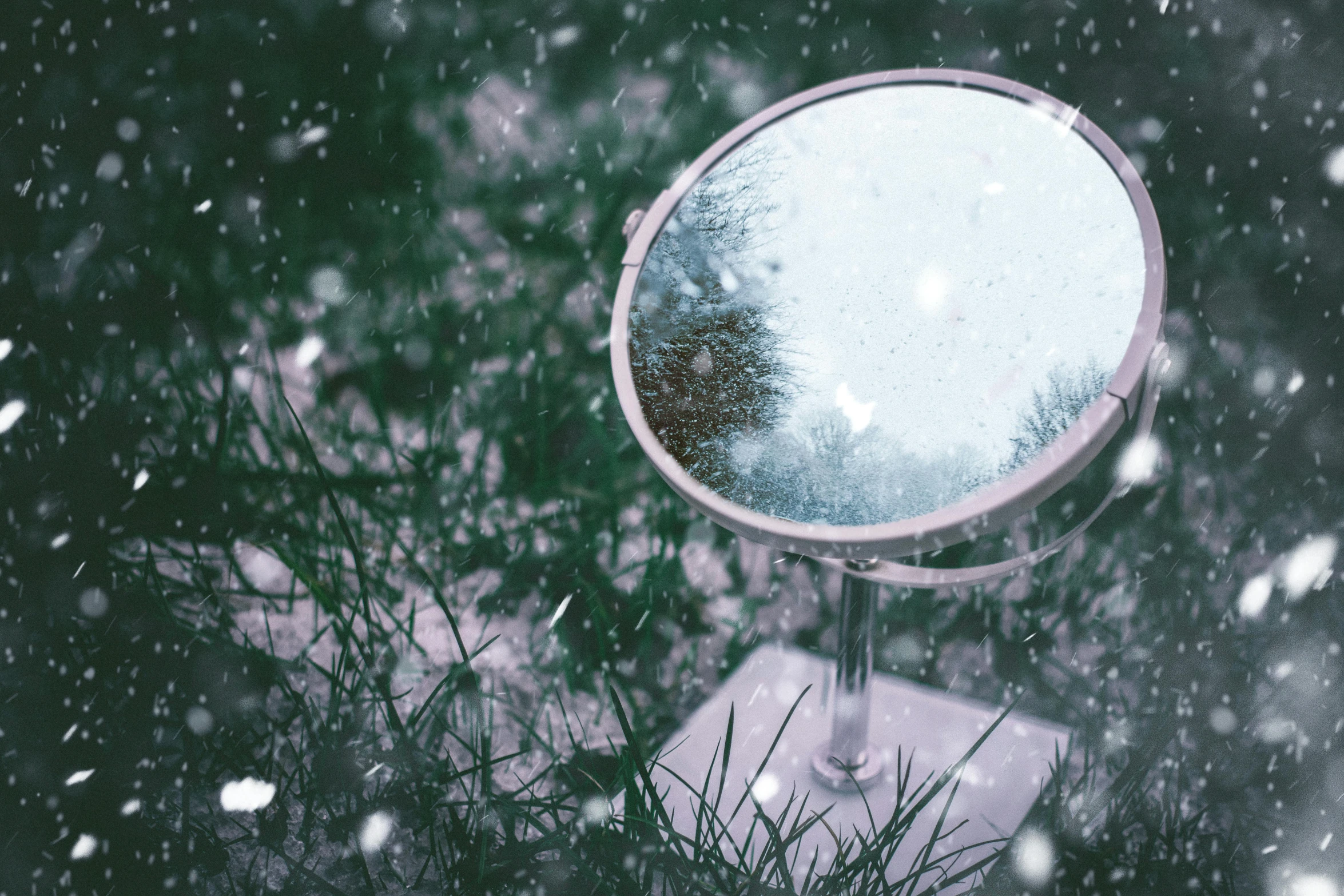 a mirror that is sitting in the grass, inspired by Elsa Bleda, pexels contest winner, during snowfall, doctors mirror, shiny skin, winter atmosphere