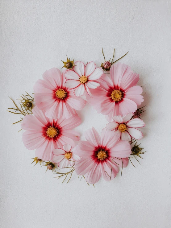 pink flowers arranged in a circle on a white surface, by Alison Geissler, trending on unsplash, miniature cosmos, ilustration, made of silk paper, medium format