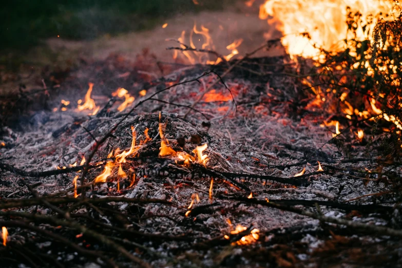 a fire is burning in the middle of a field, pexels contest winner, slash and burn, avatar image, close up shot, midsummer