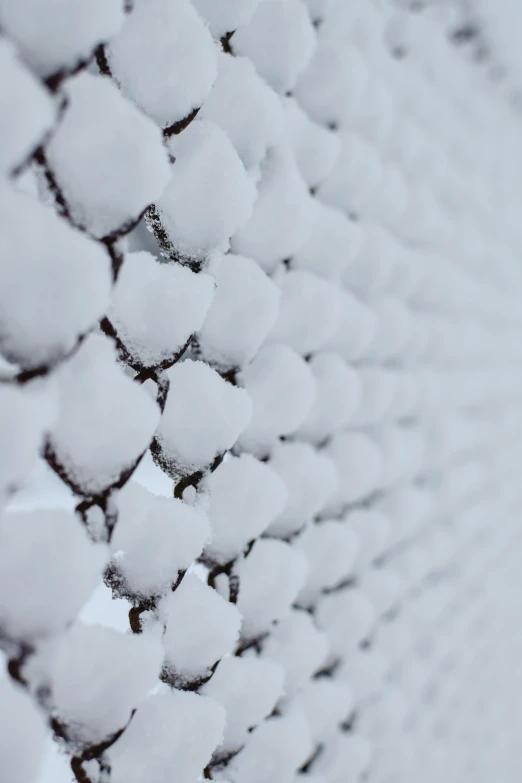 a close up of a chain link fence covered in snow, inspired by Elsa Bleda, hearts, from 8 k matte, white sky, chocolate