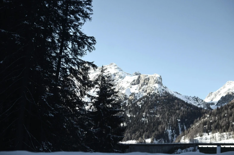 a man riding skis down a snow covered slope, unsplash, les nabis, spruce trees on the sides, gorge in the mountain, exterior photo, photograph of april