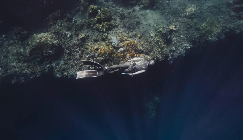 a pair of scuba shoes sitting on top of a rock, a portrait, pexels contest winner, surrealism, manta ray, light from above, indonesia national geographic, top down extraterrestial view