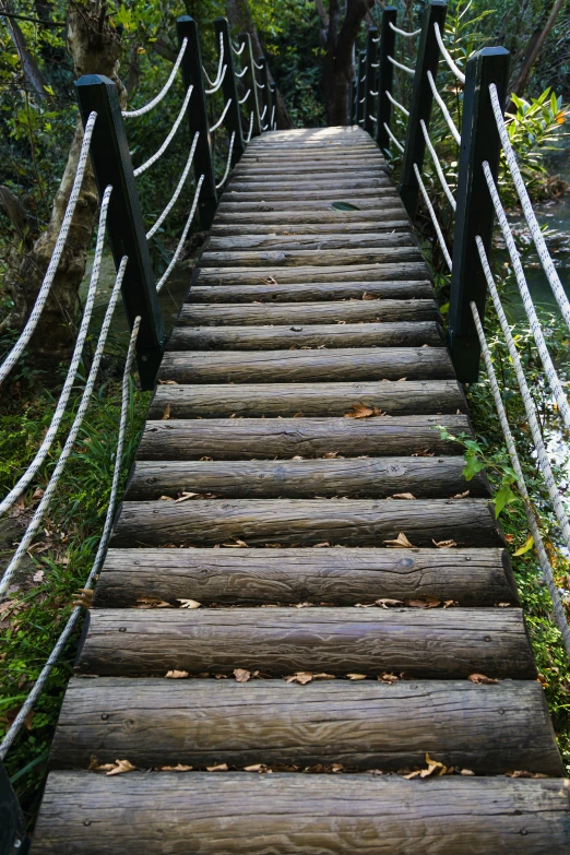 a set of wooden stairs going up a hill, hanging bridge!!, fall, in 2 0 1 8, rapids