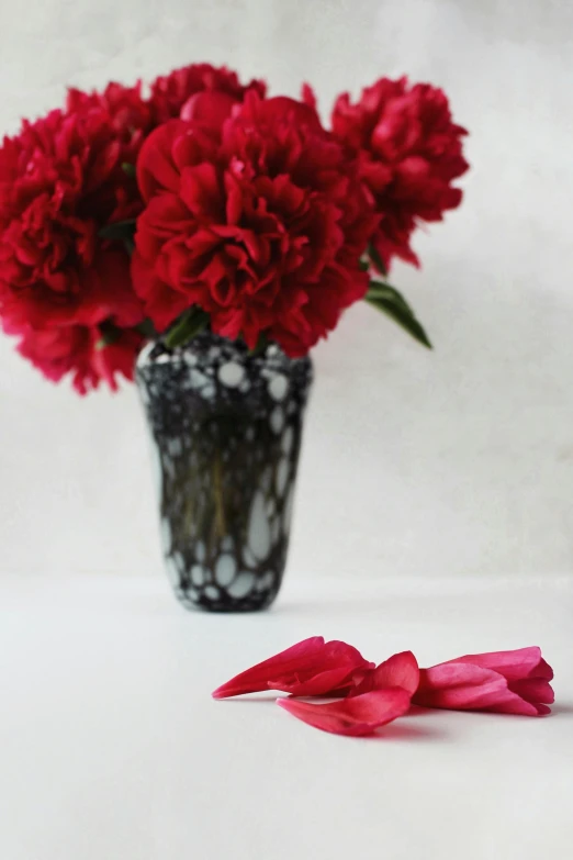 a vase filled with red flowers on top of a table, by Jessie Algie, shutterstock contest winner, black peonies, delicate patterned, soft vignette, magenta and gray