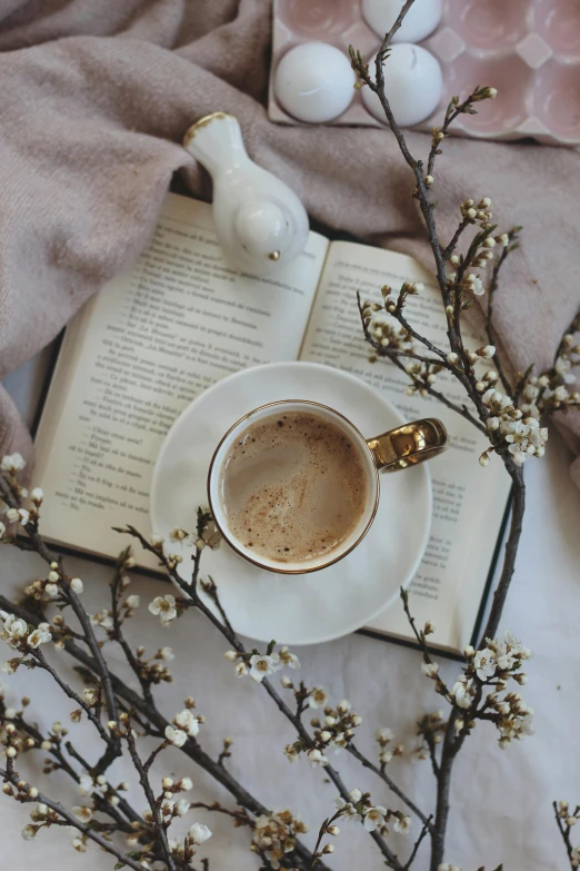 a cup of coffee sitting on top of an open book, by Lucia Peka, pexels contest winner, romanticism, early spring, thumbnail, browns and whites, on a branch