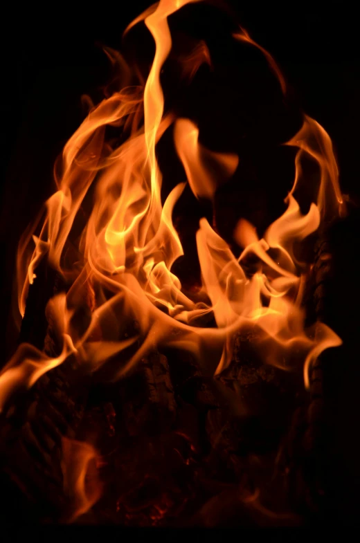 a close up of a fire on a black background, by Jan Rustem, taken in 2 0 2 0, warm light, burning wings, a wooden