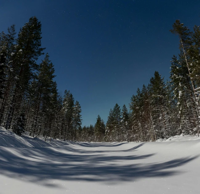 a man riding skis down a snow covered slope, by Veikko Törmänen, unsplash, hurufiyya, an image of a moonlit forest, clear blue skies, hdri, 1 8 mm wide shot