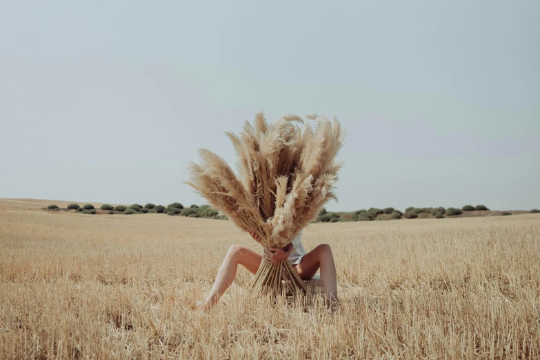 a woman sitting in the middle of a wheat field, by Jessie Alexandra Dick, unsplash contest winner, body hair, piled around, dried palmtrees, minimalistic art