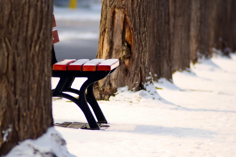 a bench that is sitting in the snow, by Washington Allston, pexels contest winner, white and red color scheme, sitting at a table, over the shoulder, under the soft shadow of a tree