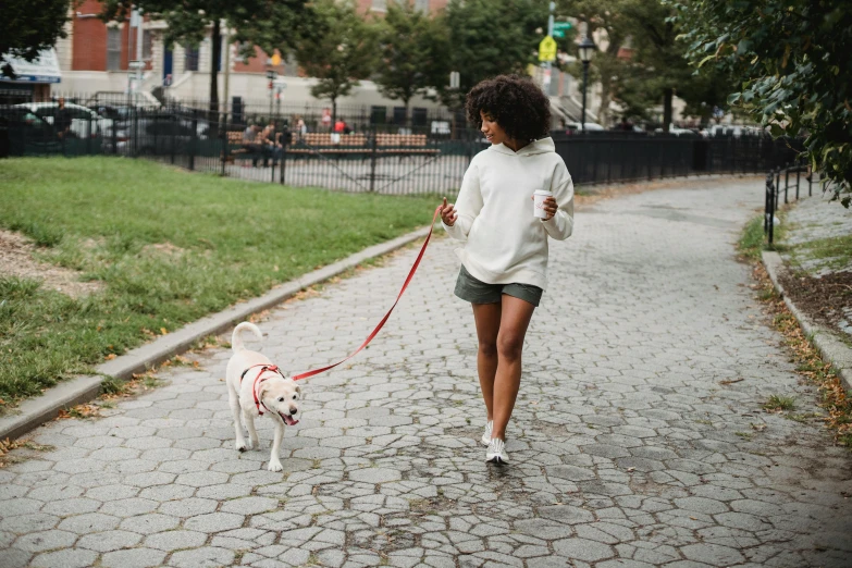 a woman walking a dog on a leash, white and red color scheme, humans of new york, fan favorite, medium-shot