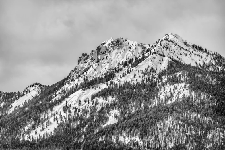 a black and white photo of a snow covered mountain, pexels, baroque, idaho, 8k 50mm iso 10, hill with trees, low detailed